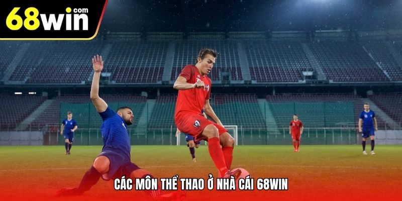 Top những môn thể thao 68win thu hút người tham gia các cược
